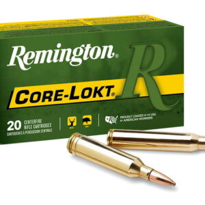 remington 30 30 ammo